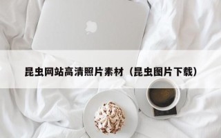 雄安新区昆虫网站高清照片素材（昆虫图片下载）